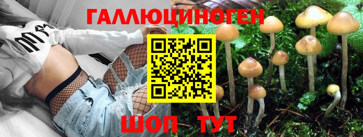 Галлюциногенные грибы прущие грибы Уварово