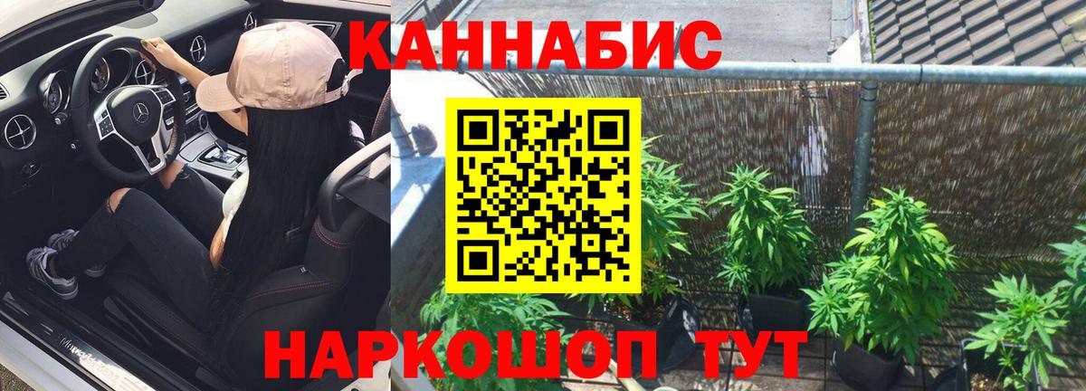 Бошки Шишки семена  Каннабис Amnesia  Вход с VPN  Бошки марихуана ГИДРОПОН  Уварово  Марихуана SATIVA & INDICA 